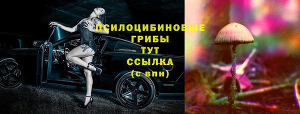 jwh Богородицк