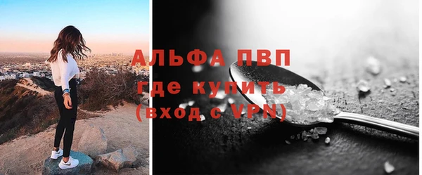 амф Новодвинск