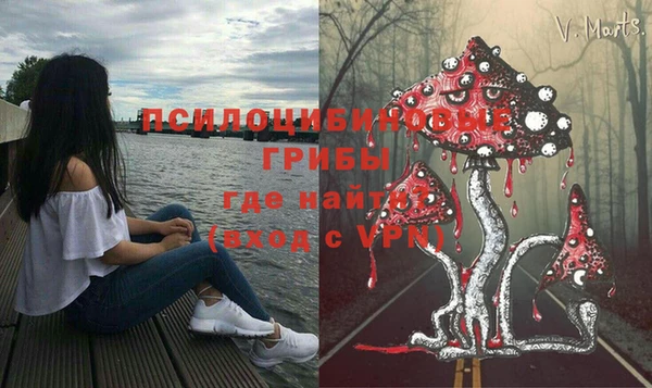 соль ск Богородск