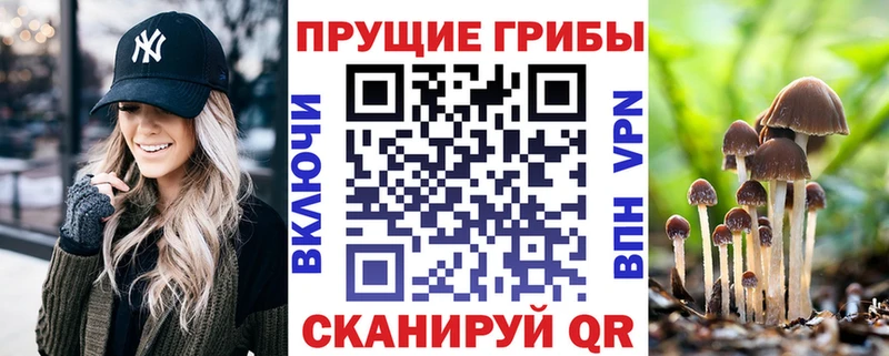 Галлюциногенные грибы GOLDEN TEACHER  Славгород 